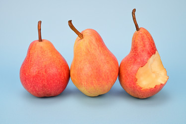 Similar image 21987627