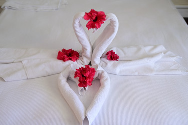 Similar image 21987632