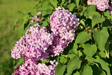 Similar image 21986776