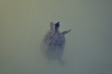 Similar image 21986783