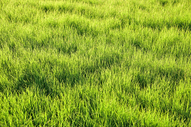 Similar image 21986784