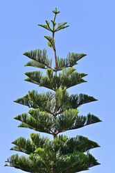 Similar image 21986785