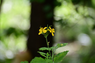 Similar image 21986788