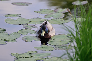 Similar image 21986789