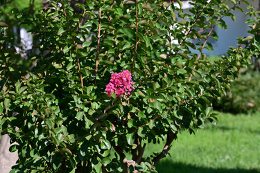 Similar image 21986791