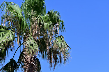 Similar image 21986792