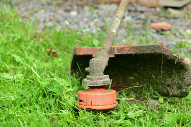 Similar image 21986915