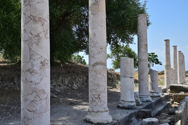 Similar image 21987653