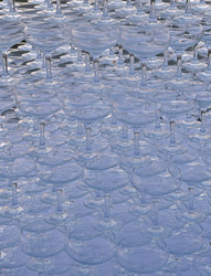 Similar image 21988232