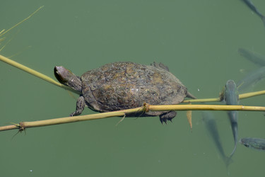 Similar image 21988243