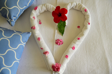 Similar image 21988244