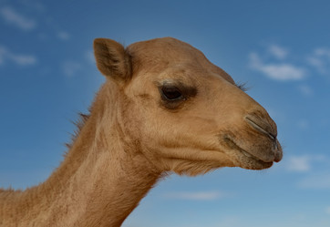 Similar image 21980395