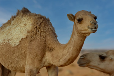 Similar image 21980396