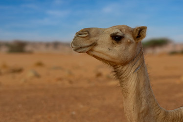 Similar image 21980398