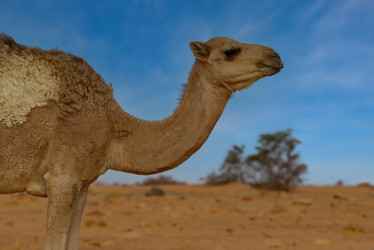 Similar image 21980399