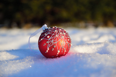 Similar image 21987227