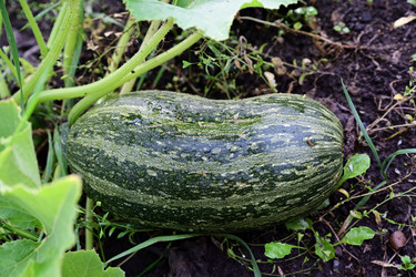 Similar image 21987676