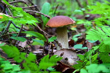 Similar image 21987682