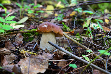 Similar image 21988247