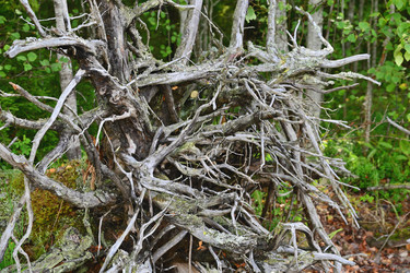 Similar image 21988255