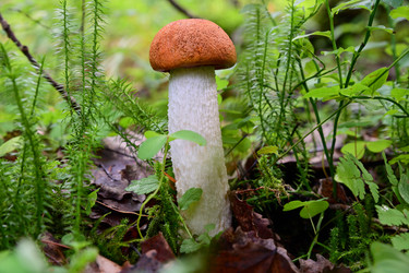 Similar image 21988259