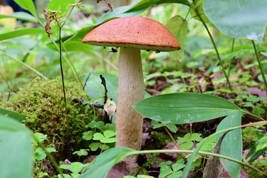 Similar image 21988261