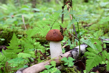 Similar image 21988263