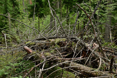 Similar image 21986584