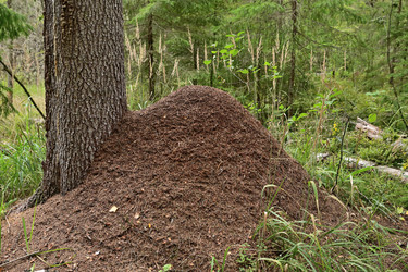 Similar image 21986586