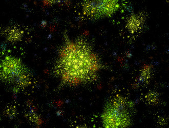 Similar image 21977506