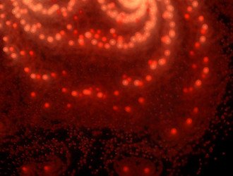 Similar image 21977507