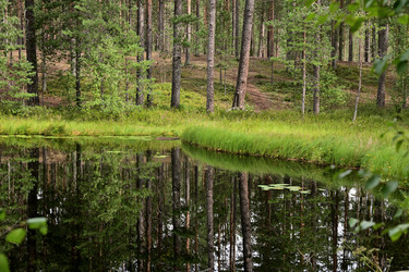 Similar image 21986929