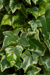 Similar image 21987239