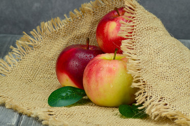 Similar image 21987366