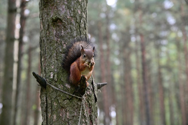 Similar image 21987506