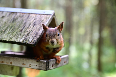 Similar image 21987509