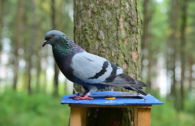 Similar image 21987513