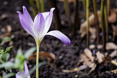 Similar image 21977808