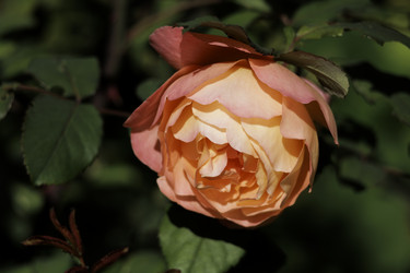 Similar image 21977810