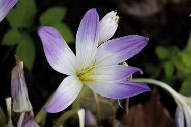 Similar image 21977811