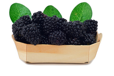 Similar image 21986807