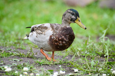 Similar image 21986812