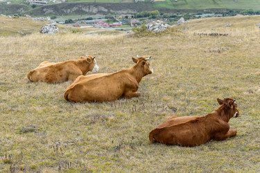 Similar image 21986946