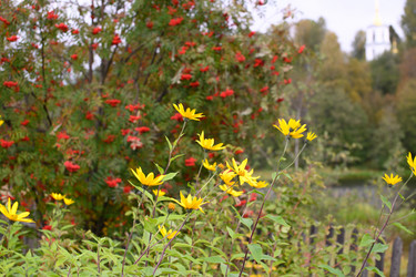 Similar image 21986947