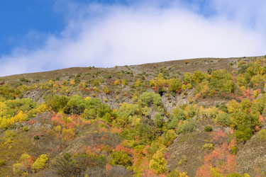 Similar image 21986959