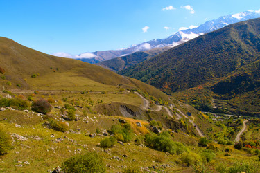 Similar image 21987254