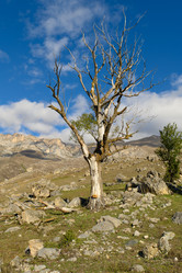 Similar image 21987255