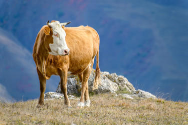 Similar image 21986606