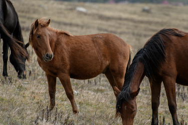 Similar image 21987684