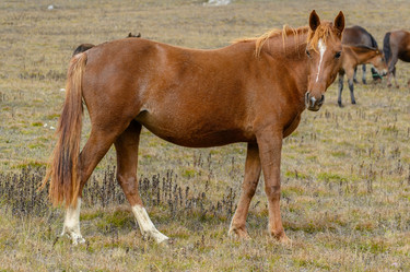 Similar image 21987688